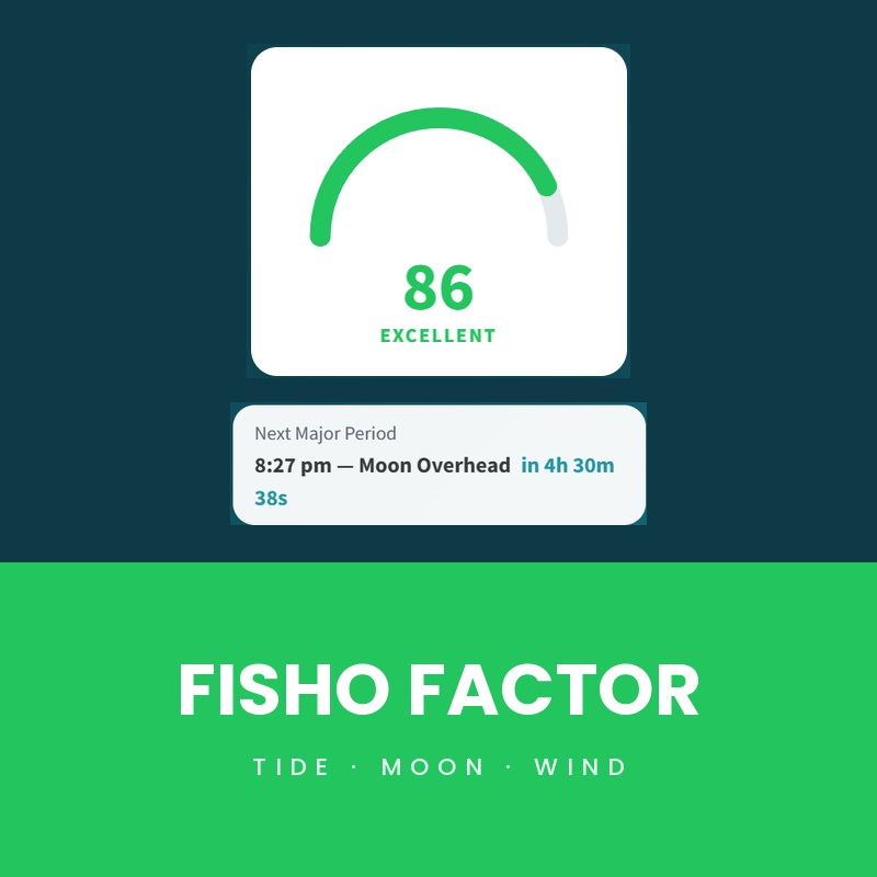 Fisho Factor