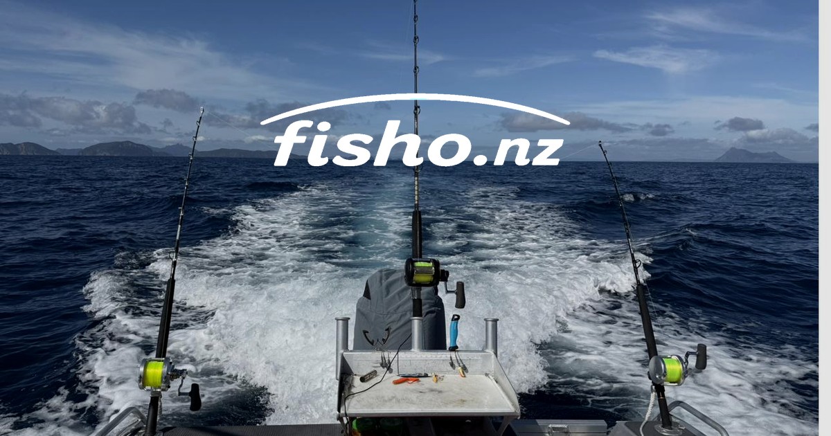 Register Your Charter Boat | Fisho